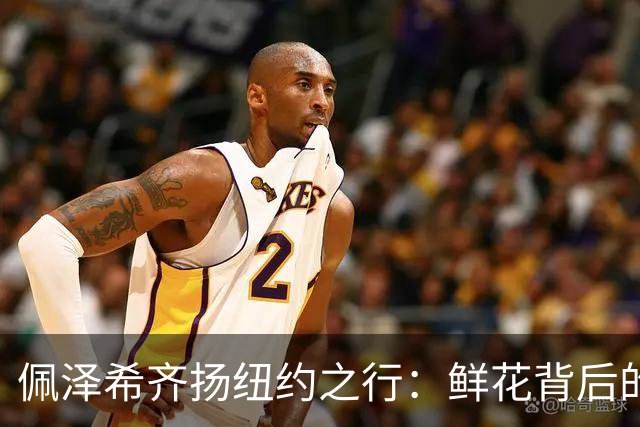佩泽希齐扬纽约之行：鲜花背后的罢免危机重重