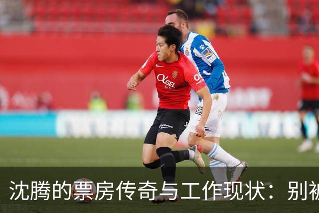 沈腾的票房传奇与工作现状：别被表象迷惑